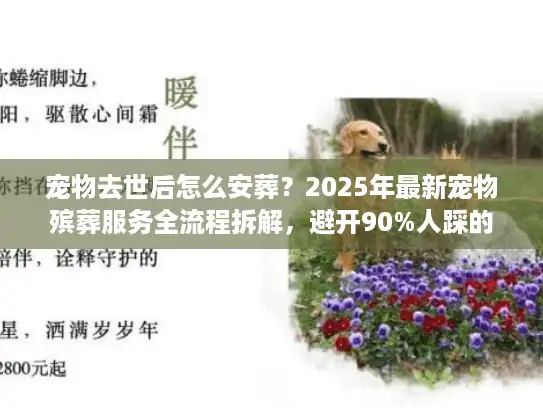 宠物去世后怎么安葬？2025年最新宠物殡葬服务全流程拆解，避开90%人踩的坑