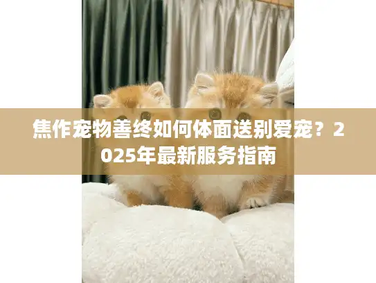 焦作宠物善终如何体面送别爱宠？2025年最新服务指南