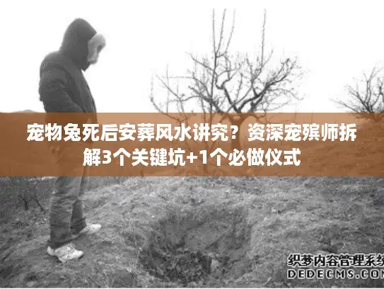 宠物兔死后安葬风水讲究？资深宠殡师拆解3个关键坑+1个必做仪式