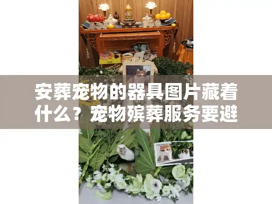 安葬宠物的器具图片藏着什么？宠物殡葬服务要避开的3个隐形坑