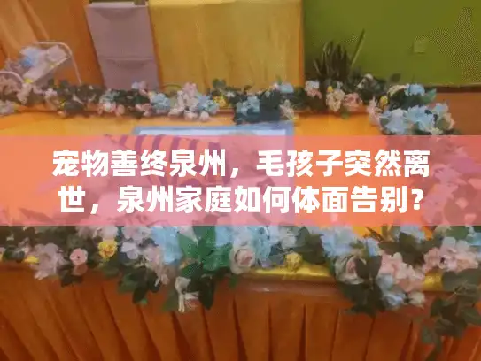 宠物善终泉州，毛孩子突然离世，泉州家庭如何体面告别？