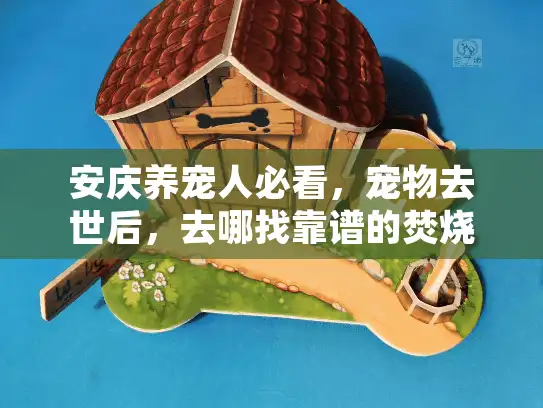 安庆养宠人必看，宠物去世后，去哪找靠谱的焚烧安葬服务？