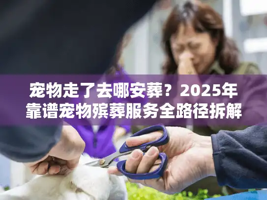 宠物走了去哪安葬？2025年靠谱宠物殡葬服务全路径拆解+避坑指南