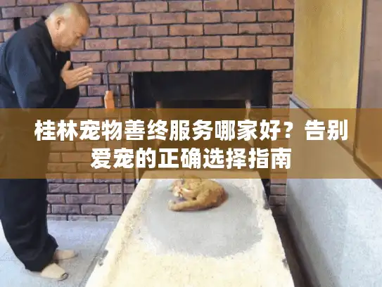 桂林宠物善终服务哪家好？告别爱宠的正确选择指南