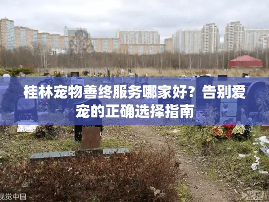桂林宠物善终服务哪家好？告别爱宠的正确选择指南