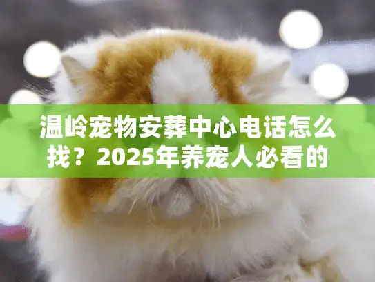 温岭宠物安葬中心电话怎么找？2025年养宠人必看的靠谱服务指南