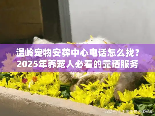 温岭宠物安葬中心电话怎么找？2025年养宠人必看的靠谱服务指南