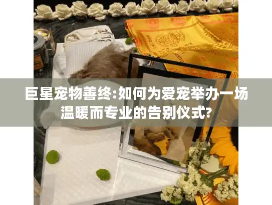 巨星宠物善终:如何为爱宠举办一场温暖而专业的告别仪式?