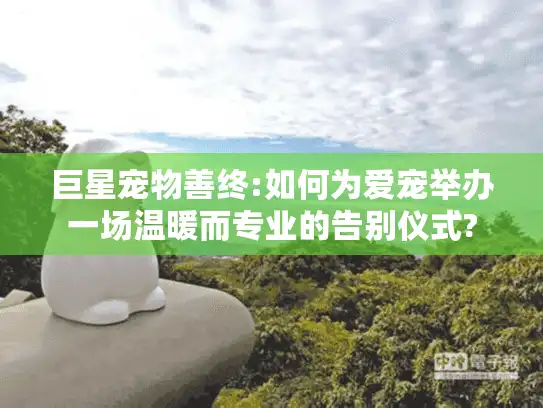 巨星宠物善终:如何为爱宠举办一场温暖而专业的告别仪式?