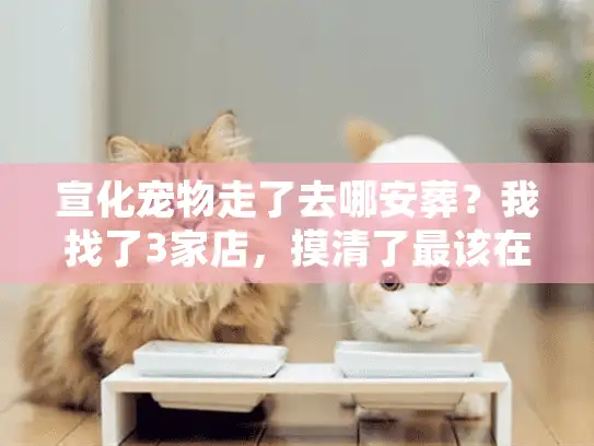 宣化宠物走了去哪安葬？我找了3家店，摸清了最该在意的3件事