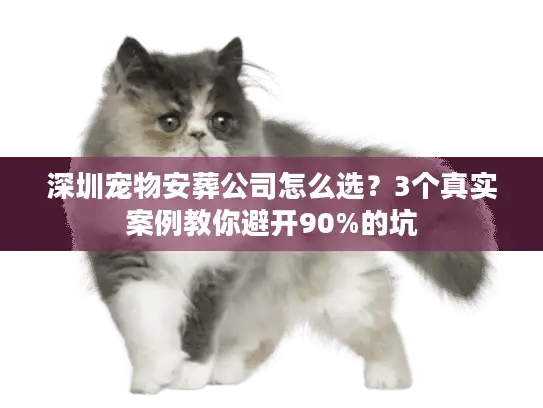 深圳宠物安葬公司怎么选？3个真实案例教你避开90%的坑