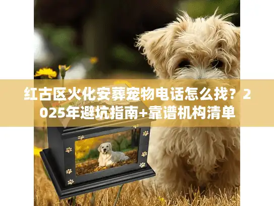 红古区火化安葬宠物电话怎么找？2025年避坑指南+靠谱机构清单