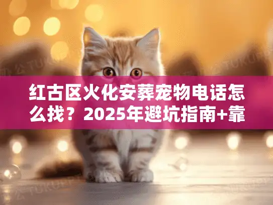 红古区火化安葬宠物电话怎么找？2025年避坑指南+靠谱机构清单