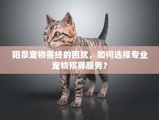 阳泉宠物善终的困扰，如何选择专业宠物殡葬服务？