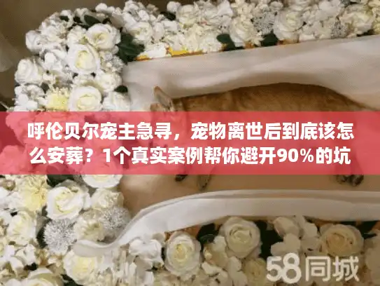 呼伦贝尔宠主急寻，宠物离世后到底该怎么安葬？1个真实案例帮你避开90%的坑