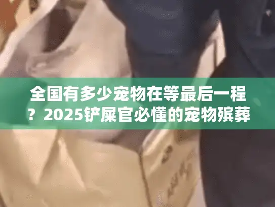 全国有多少宠物在等最后一程？2025铲屎官必懂的宠物殡葬服务真相