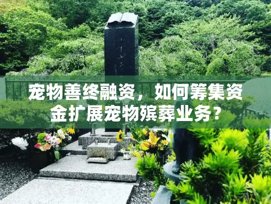 宠物善终融资，如何筹集资金扩展宠物殡葬业务？