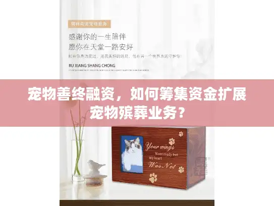 宠物善终融资，如何筹集资金扩展宠物殡葬业务？
