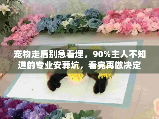 宠物走后别急着埋，90%主人不知道的专业安葬坑，看完再做决定