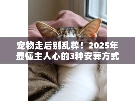 宠物走后别乱葬！2025年最懂主人心的3种安葬方式+避坑清单