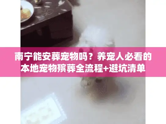 南宁能安葬宠物吗？养宠人必看的本地宠物殡葬全流程+避坑清单