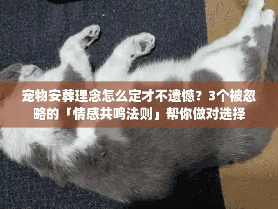 宠物安葬理念怎么定才不遗憾？3个被忽略的「情感共鸣法则」帮你做对选择