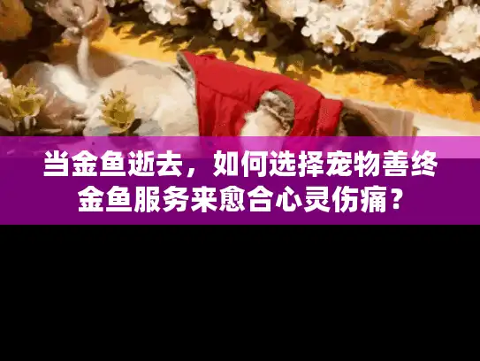 当金鱼逝去，如何选择宠物善终金鱼服务来愈合心灵伤痛？