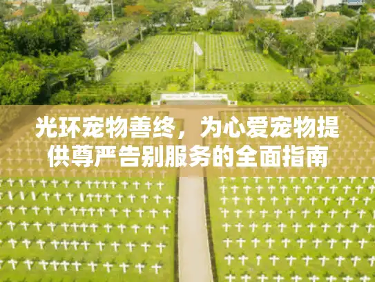 光环宠物善终，为心爱宠物提供尊严告别服务的全面指南