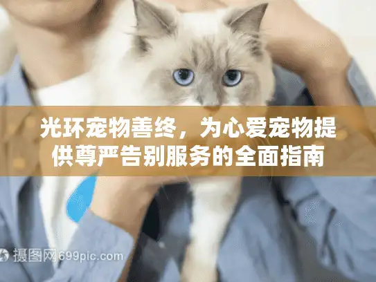 光环宠物善终，为心爱宠物提供尊严告别服务的全面指南