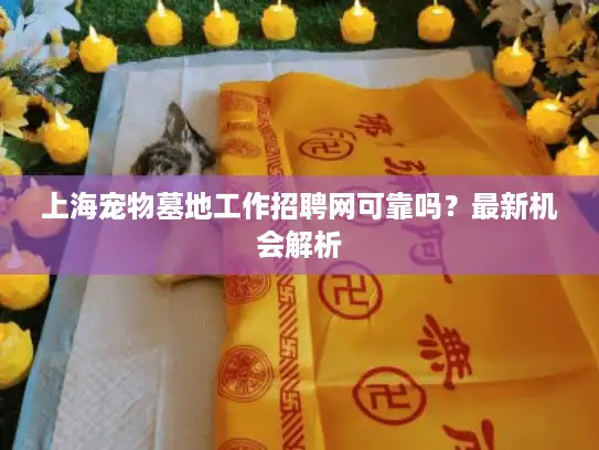 上海宠物墓地工作招聘网可靠吗？最新机会解析
