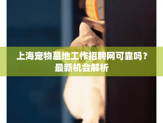 上海宠物墓地工作招聘网可靠吗？最新机会解析