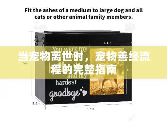 当宠物离世时，宠物善终流程的完整指南