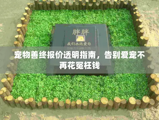 宠物善终报价透明指南，告别爱宠不再花冤枉钱