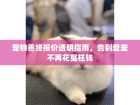 宠物善终报价透明指南，告别爱宠不再花冤枉钱