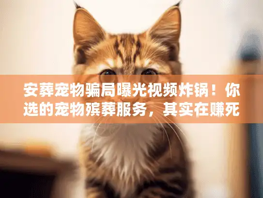 安葬宠物骗局曝光视频炸锅！你选的宠物殡葬服务，其实在赚死人钱？