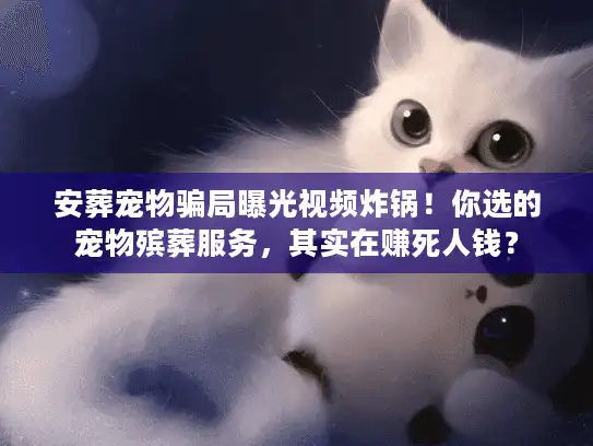 安葬宠物骗局曝光视频炸锅！你选的宠物殡葬服务，其实在赚死人钱？