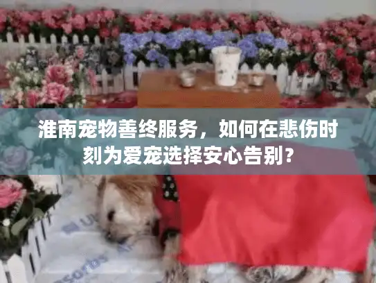 淮南宠物善终服务，如何在悲伤时刻为爱宠选择安心告别？