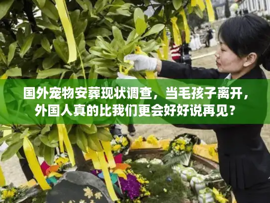 国外宠物安葬现状调查，当毛孩子离开，外国人真的比我们更会好好说再见？