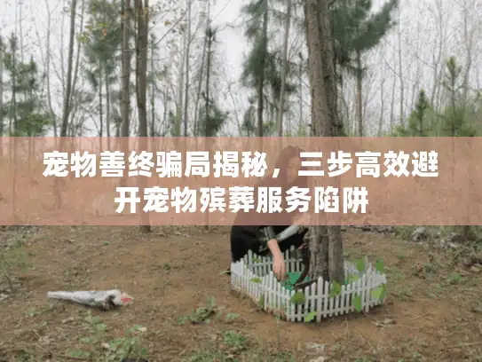 宠物善终骗局揭秘，三步高效避开宠物殡葬服务陷阱
