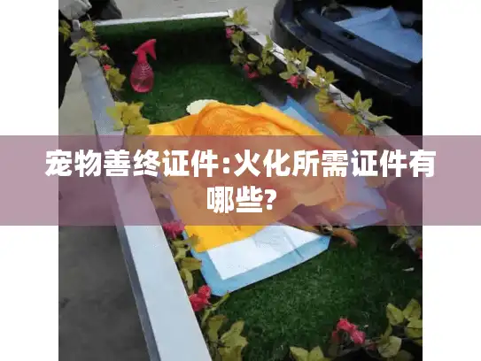 宠物善终证件:火化所需证件有哪些?
