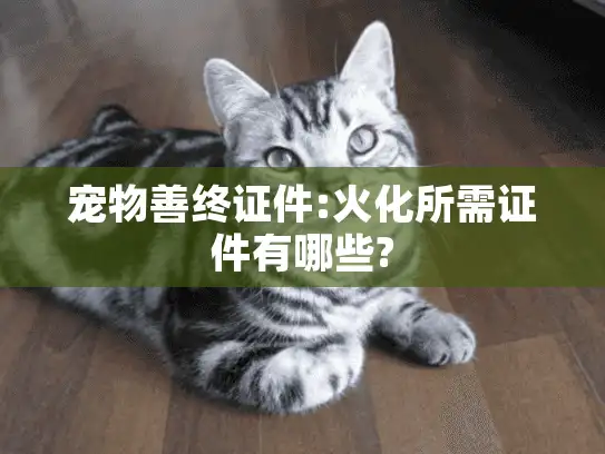 宠物善终证件:火化所需证件有哪些?