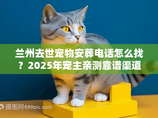 兰州去世宠物安葬电话怎么找？2025年宠主亲测靠谱渠道+避坑指南
