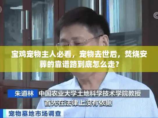 宝鸡宠物主人必看，宠物去世后，焚烧安葬的靠谱路到底怎么走？