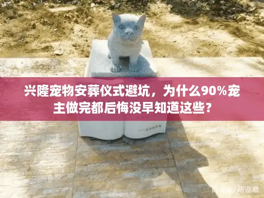 兴隆宠物安葬仪式避坑，为什么90%宠主做完都后悔没早知道这些？
