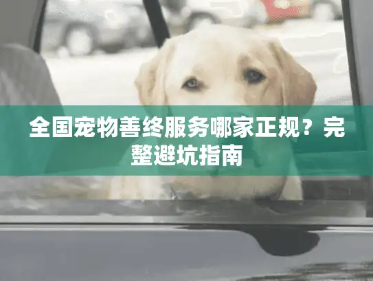全国宠物善终服务哪家正规？完整避坑指南
