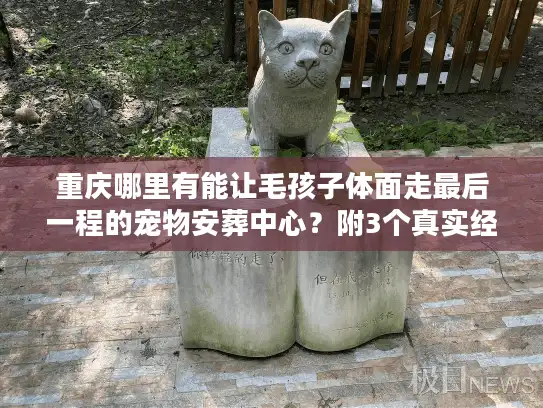 重庆哪里有能让毛孩子体面走最后一程的宠物安葬中心？附3个真实经历避坑