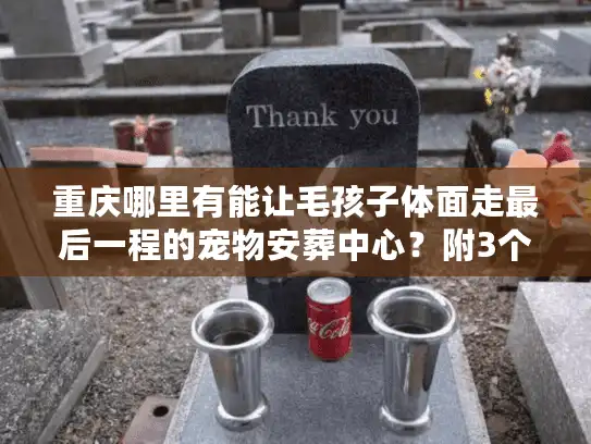 重庆哪里有能让毛孩子体面走最后一程的宠物安葬中心？附3个真实经历避坑
