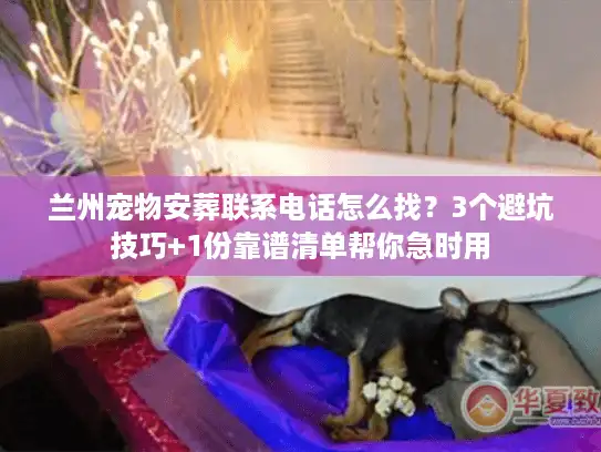 兰州宠物安葬联系电话怎么找？3个避坑技巧+1份靠谱清单帮你急时用