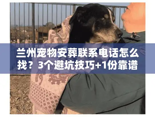 兰州宠物安葬联系电话怎么找？3个避坑技巧+1份靠谱清单帮你急时用