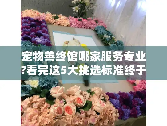 宠物善终馆哪家服务专业?看完这5大挑选标准终于不焦虑了